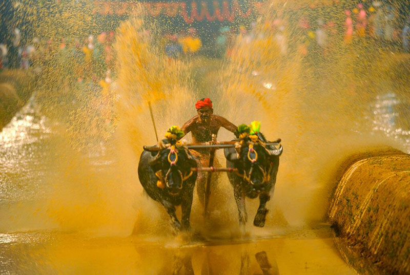 ಕಟಪಾಡಿ ಬೀಡು ಮೂಡು-ಪಡು ಜೋಡುಕೆರೆ ಕಂಬಳ